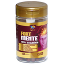 Fort Mente